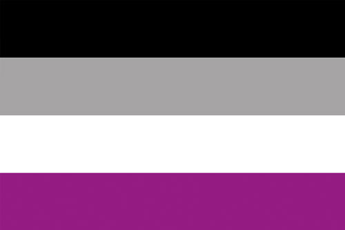 asexuelle-pride-fahne